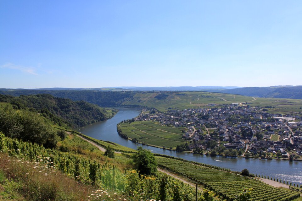 Vineyard germany steep slope photo