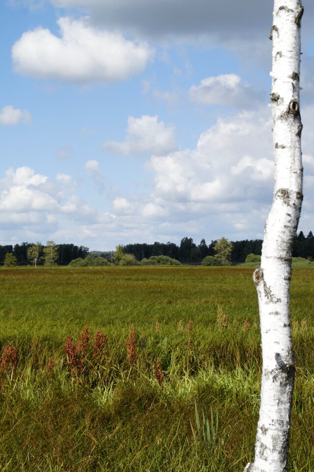 Nature moorland wetland