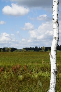 Nature moorland wetland