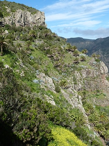 Summer spain gomera photo