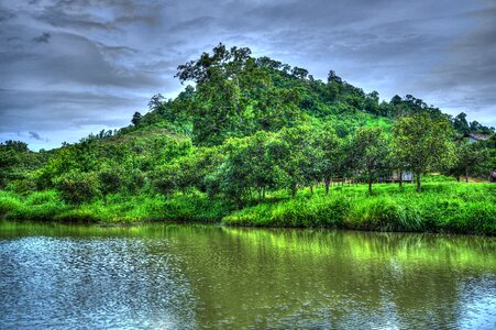Young nature landscape summer