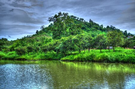 Young nature landscape summer photo