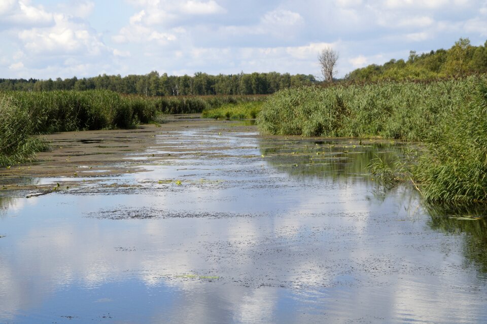 Nature moorland wetland