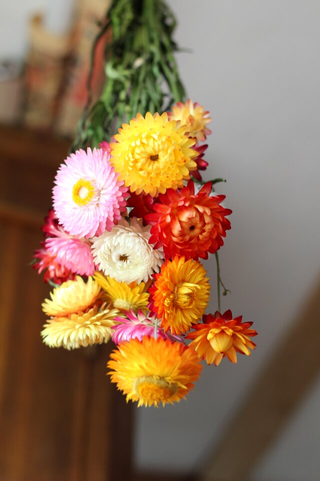 Dried flowers september bouquet