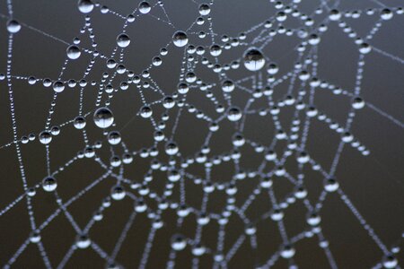 Water drops dewdrop