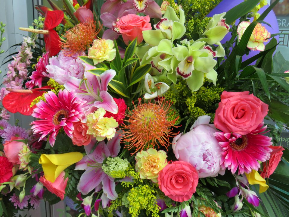 Flowers colorful