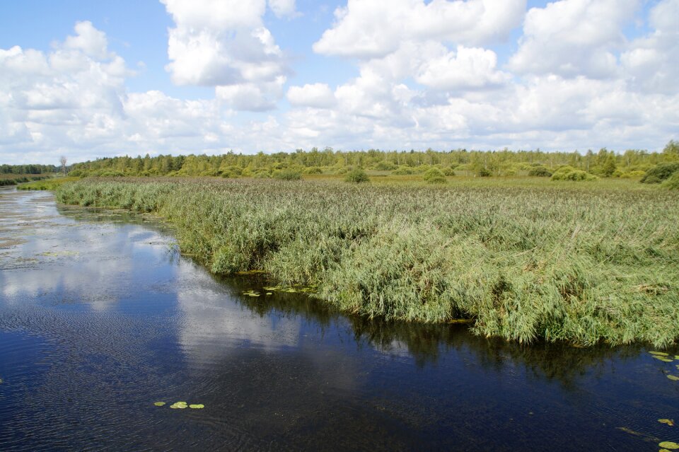 Nature moorland wetland