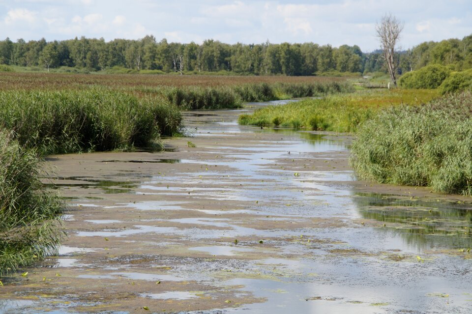 Nature moorland wetland