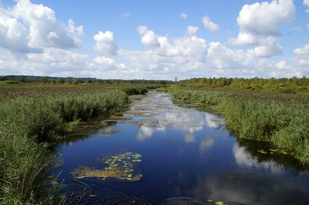 Nature moorland wetland