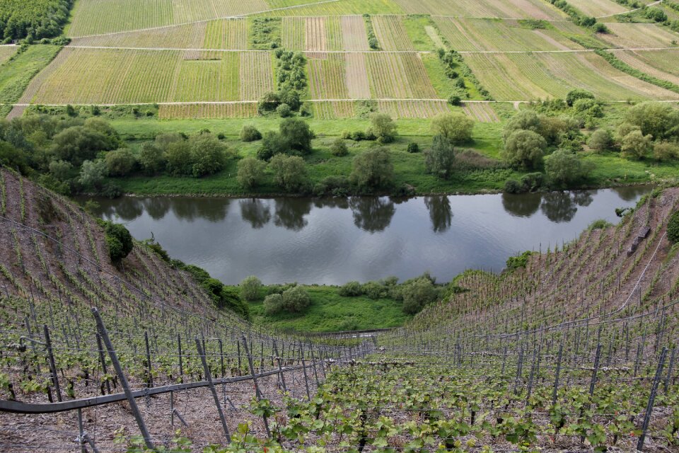 Landscape nature mosel