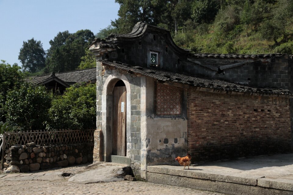 Fujian citylink tenements photo