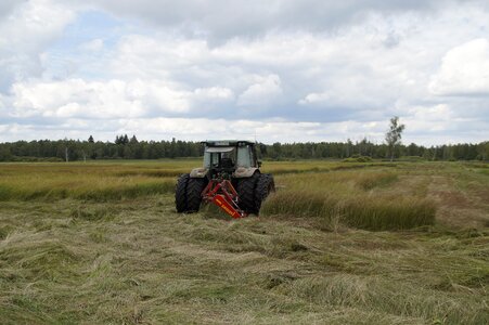 Nature nature reserve landscape photo