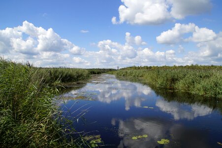 Nature moorland wetland
