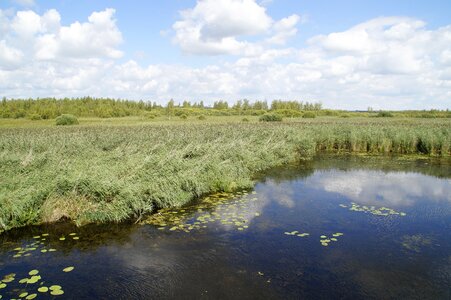 Nature moorland wetland