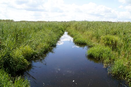 Nature moorland wetland photo