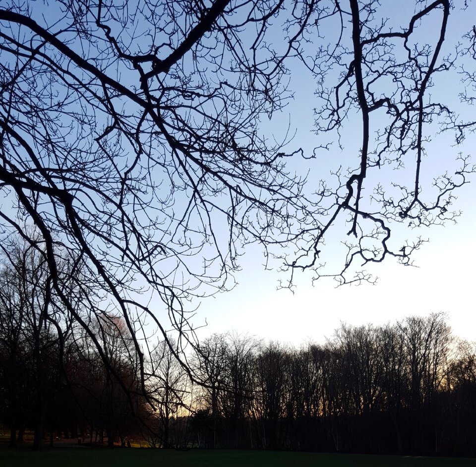 Nature blue landscape