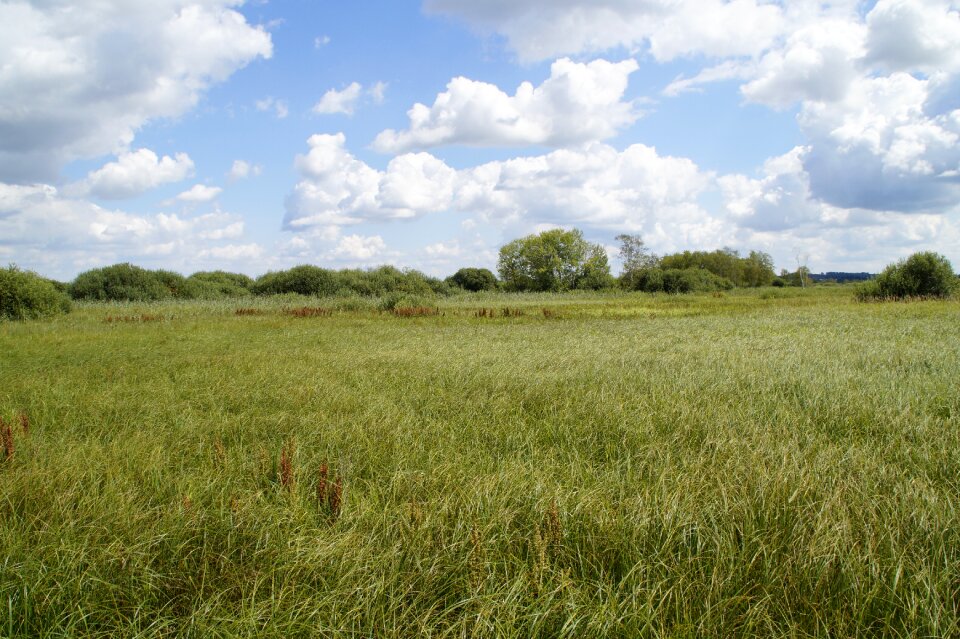 Nature nature reserve landscape