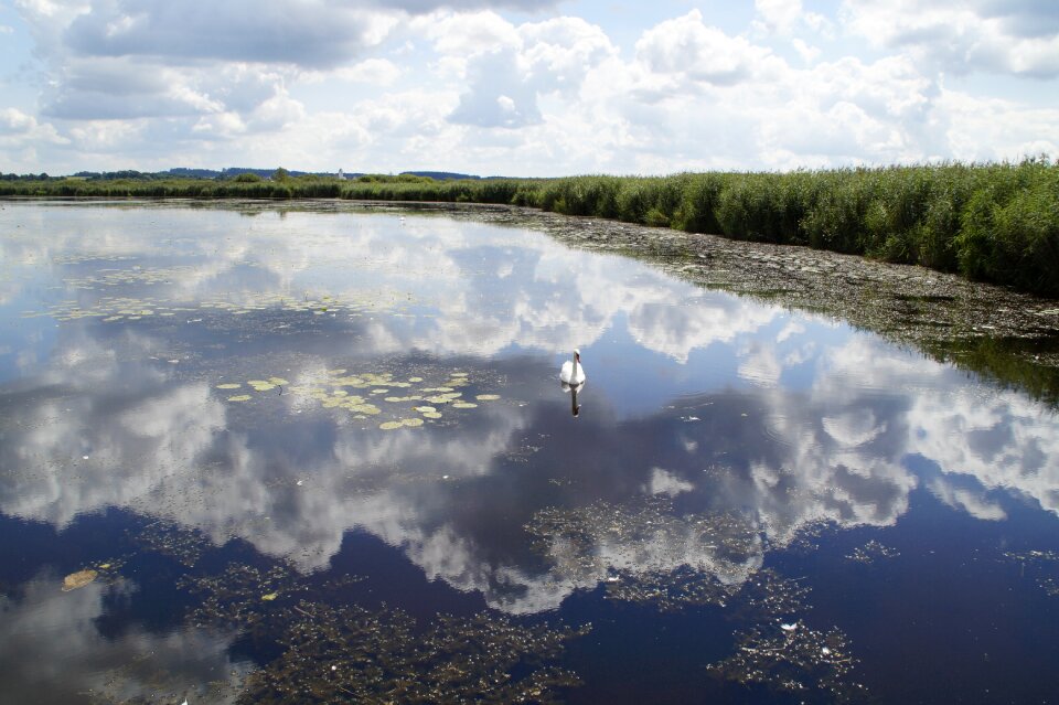 Nature moorland wetland