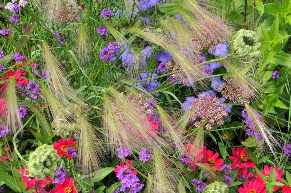 Bloom nature garden