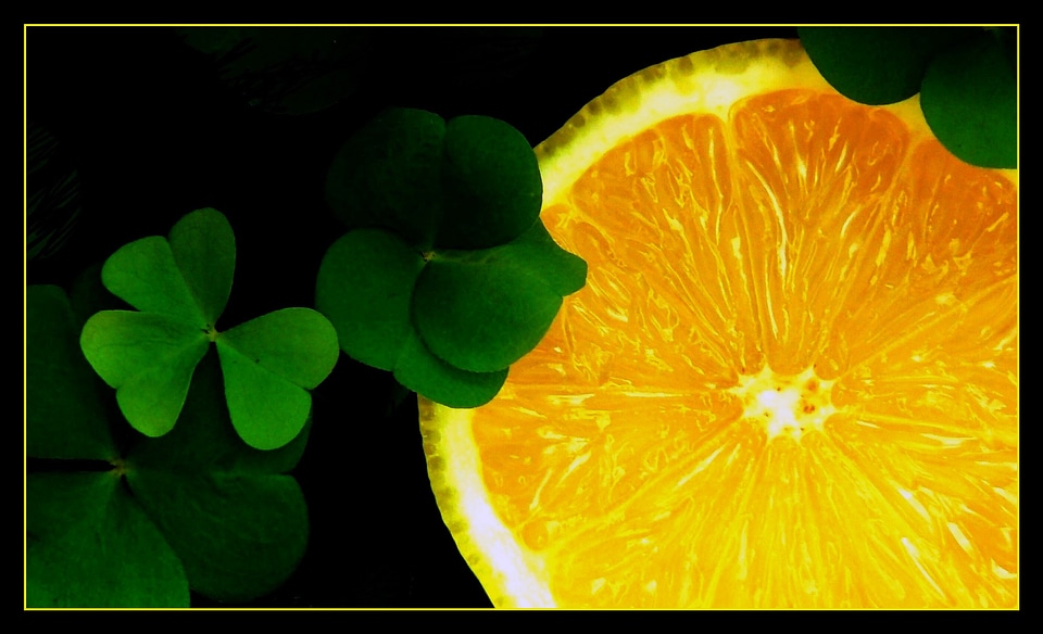 Luck symbol of good luck nature