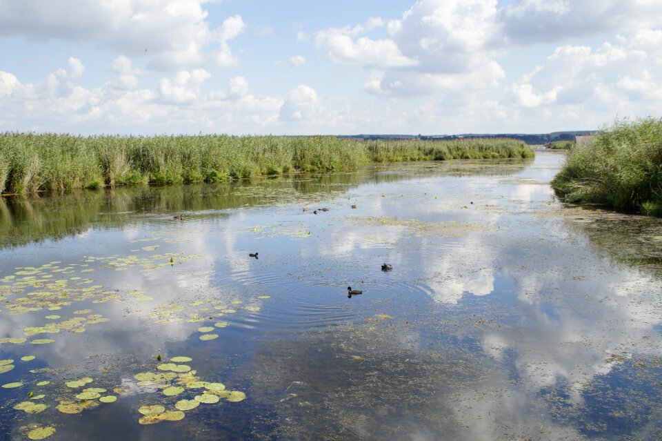 Nature moorland wetland
