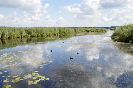 Nature moorland wetland photo