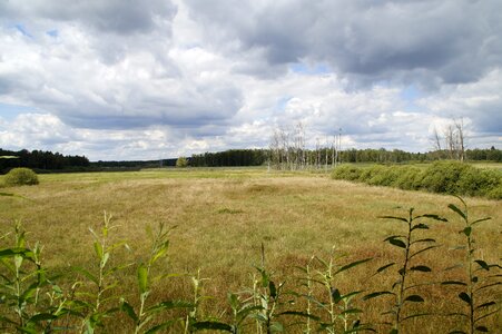 Nature nature reserve landscape