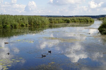 Nature moorland wetland