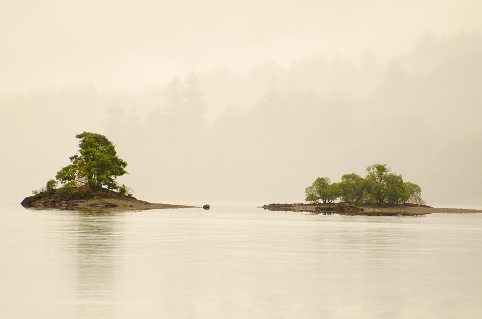 Leaf fog island