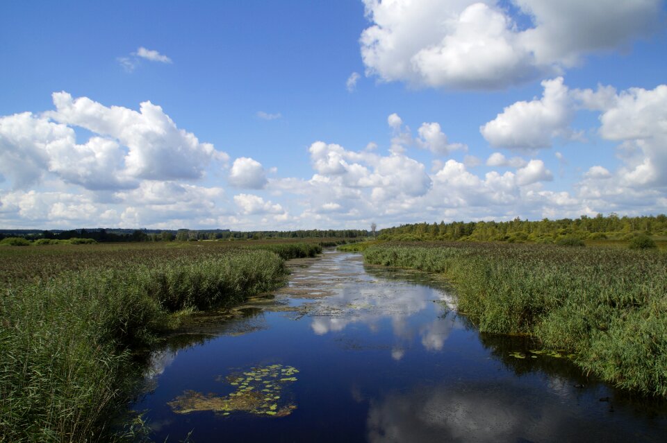Nature moorland wetland