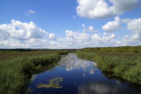 Nature moorland wetland
