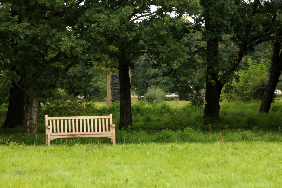 Summer peaceful