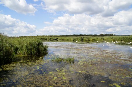 Nature moorland wetland