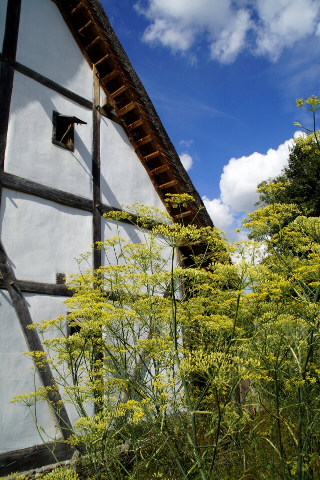Lower needle middle ages wooden castle
