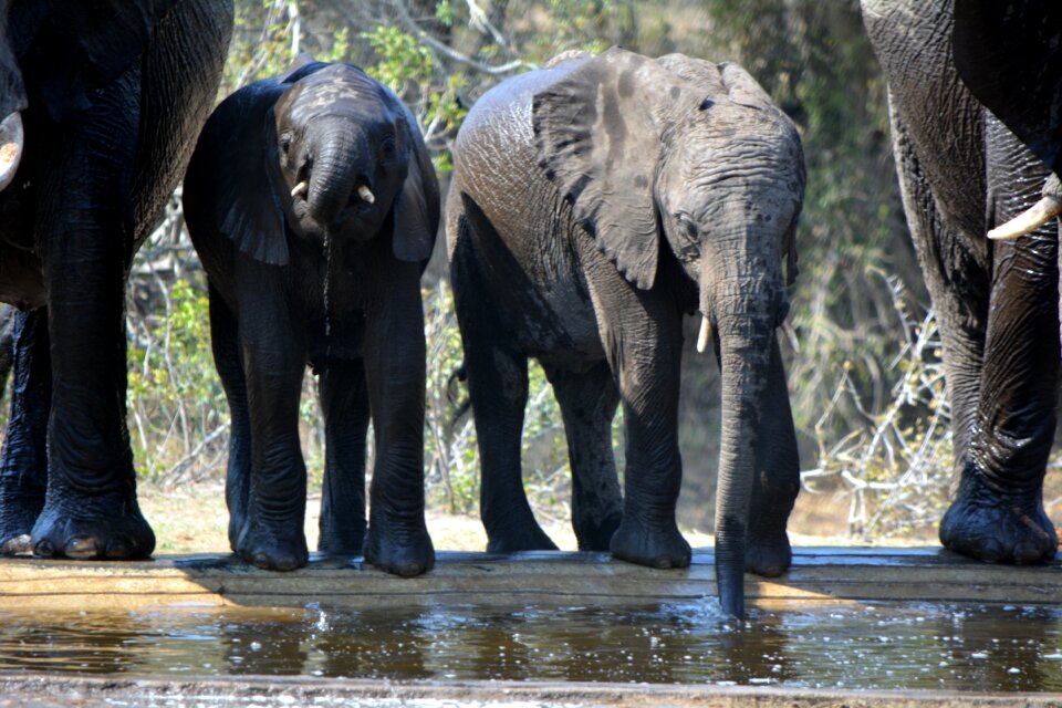 Young generation drinking water