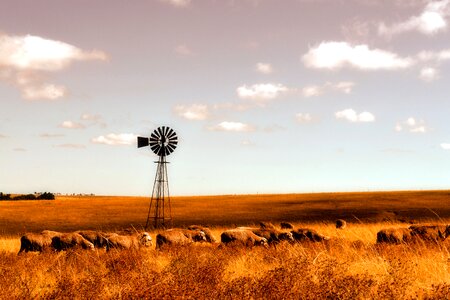 Farm windmill