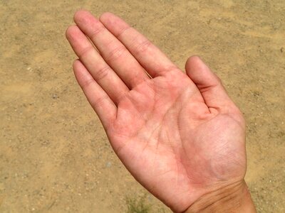 Bleaching palm reading young photo