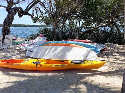 Beach surf board