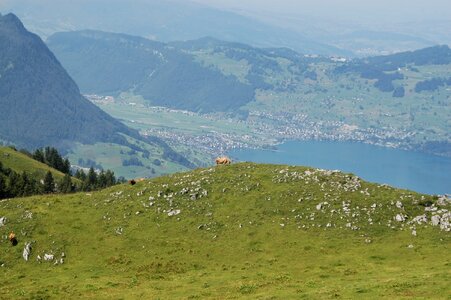 Switzerland lake mountains photo
