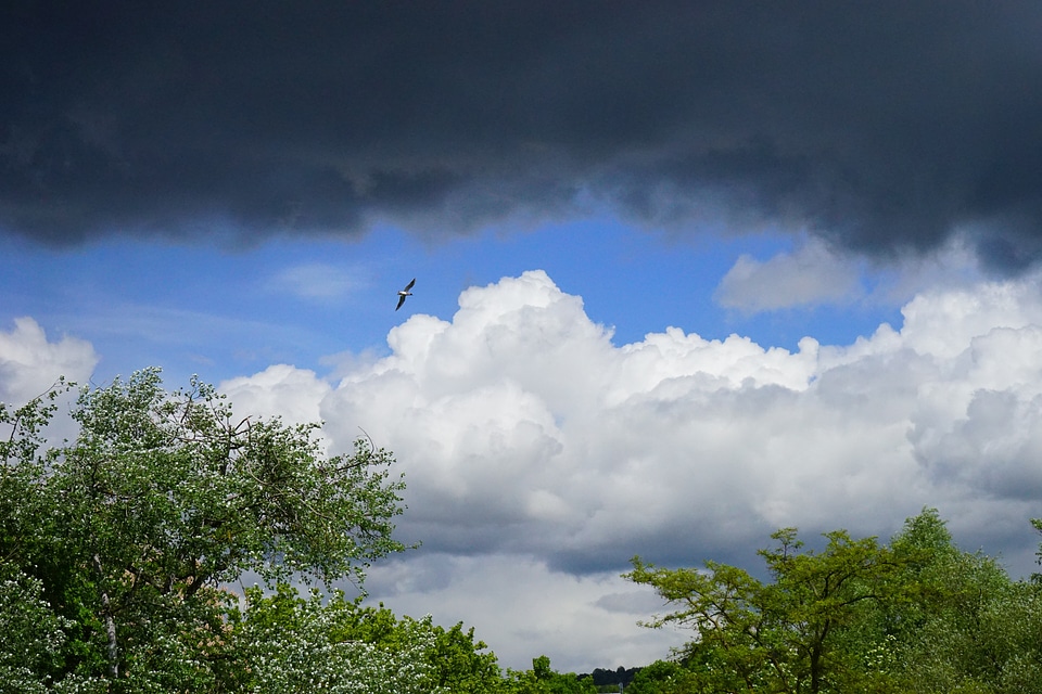 Dark clouds forward storm