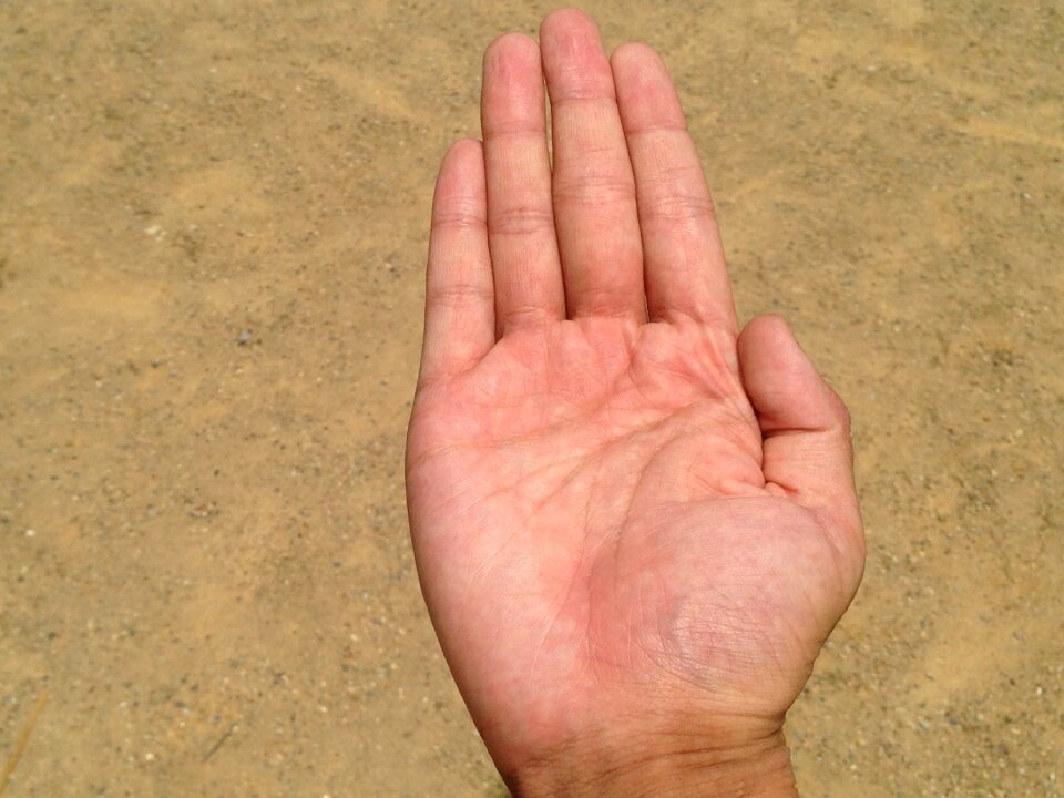 Bleaching palm reading young