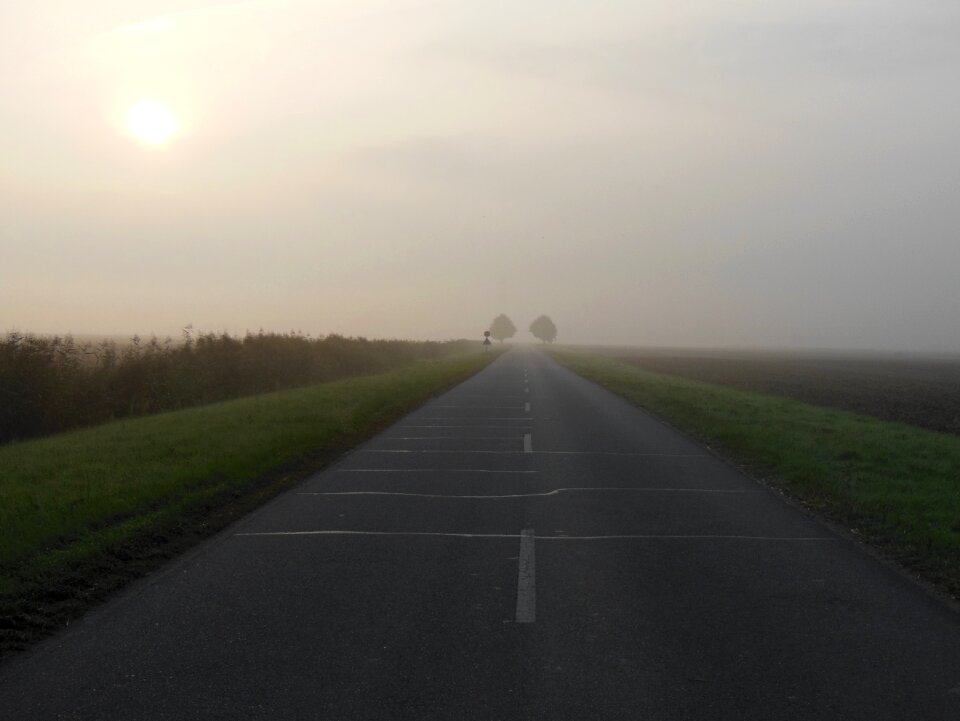 Northern germany trees diffused light photo