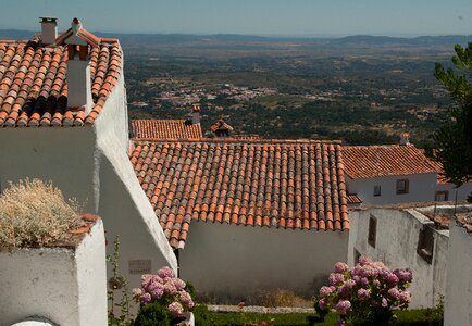 Hydrangeas medieval village tiles photo