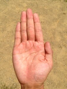 Bleaching palm reading young photo