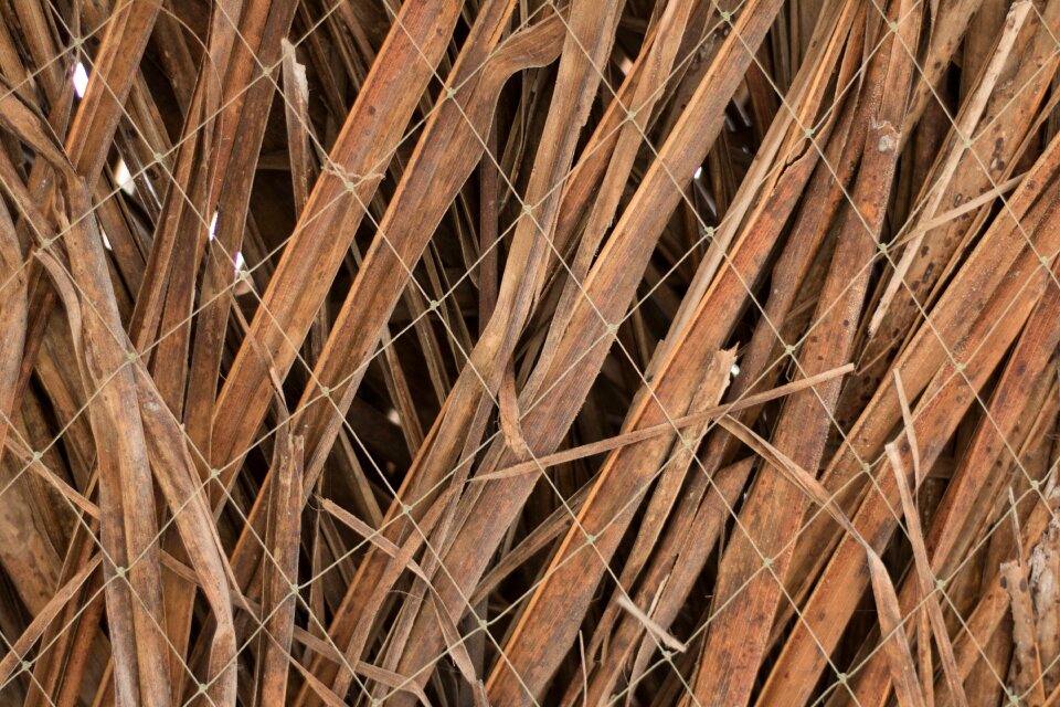 Wire dried leaves natural texture
