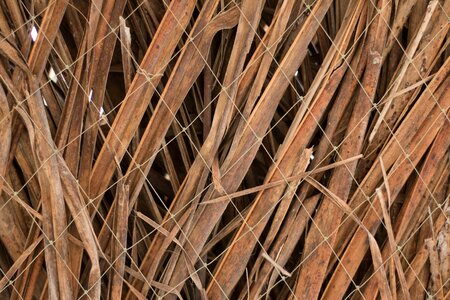 Wire dried leaves natural texture photo