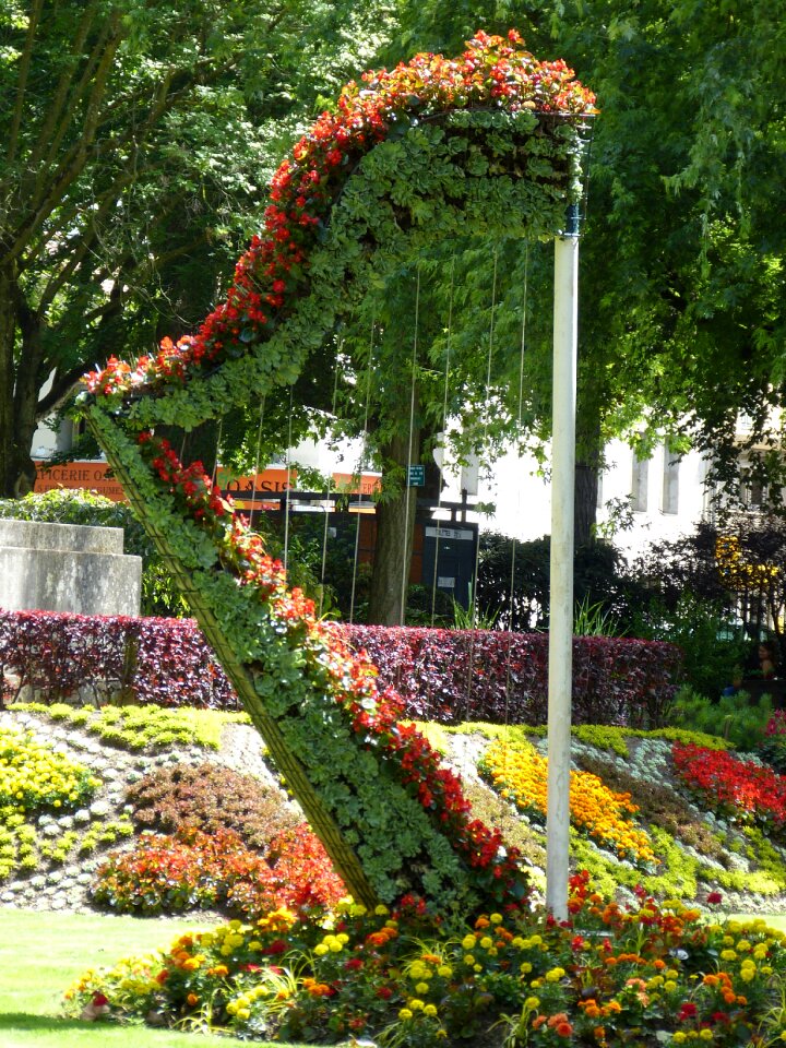 Plant flowers recovery