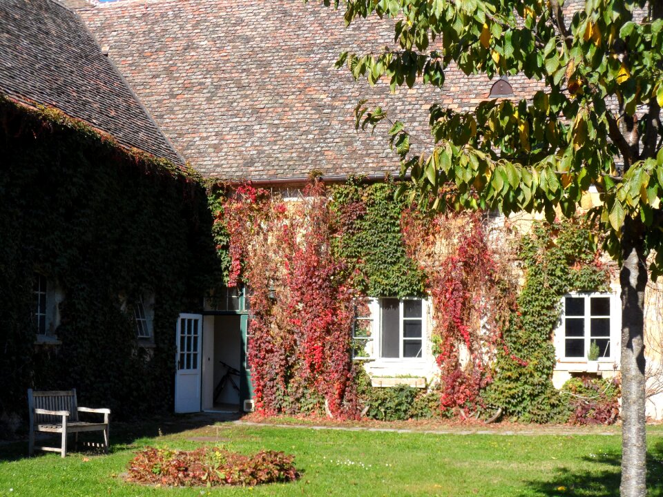 Country house wine leaf hof