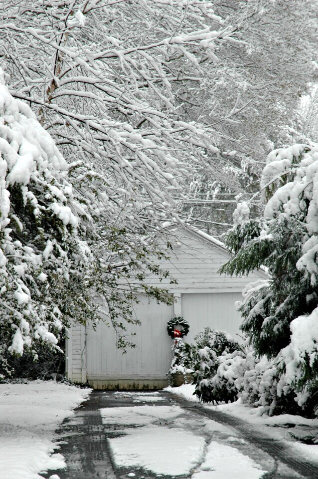 Seasonal christmas