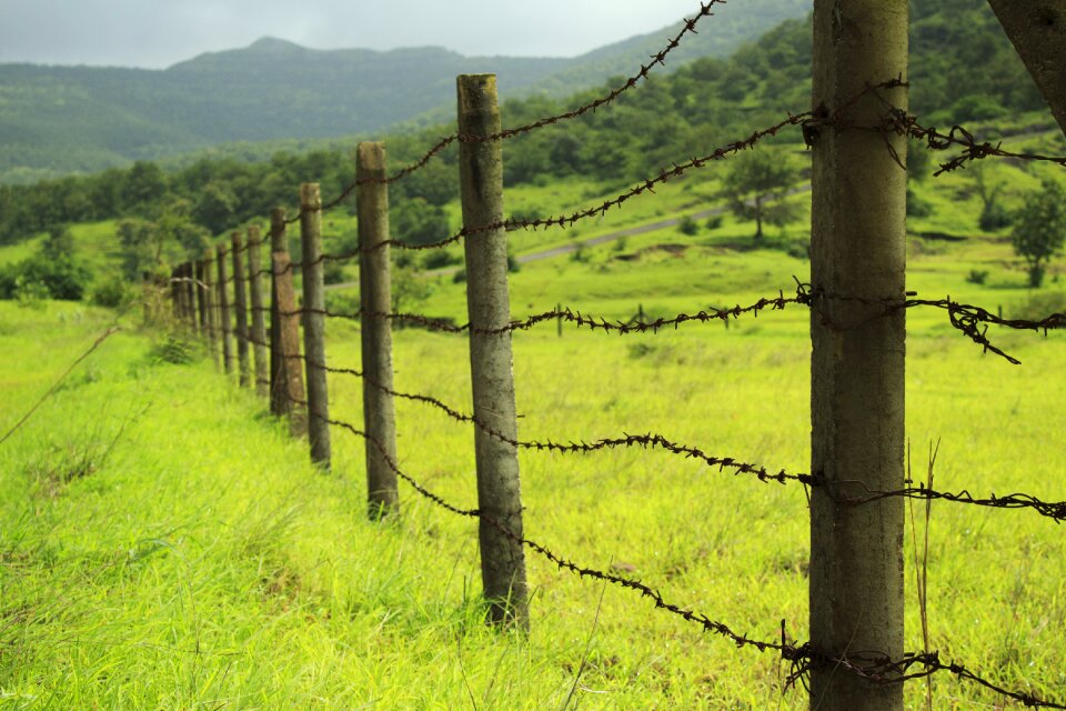 Landscape green photo